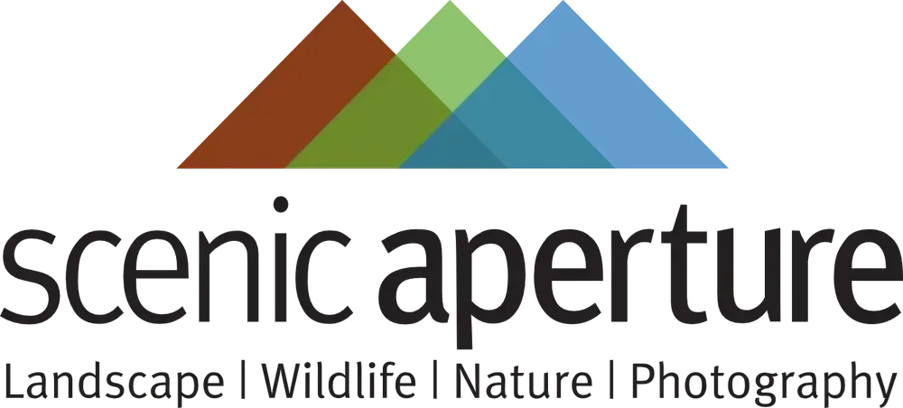 Wildlife collection Photography Art | Scenic Aperture