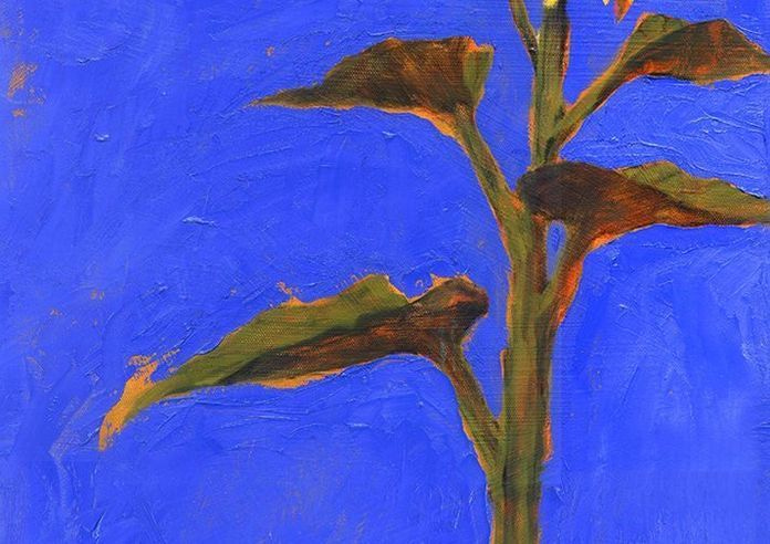 Blue Sunflower Card Art | Joseph Jackino