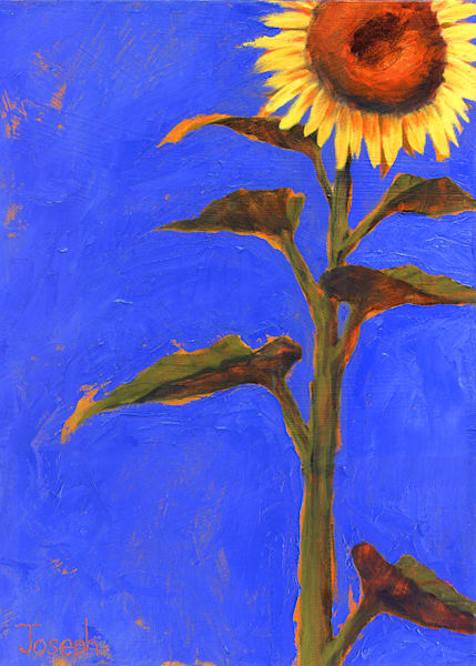 Blue Sunflower Card Art | Joseph Jackino