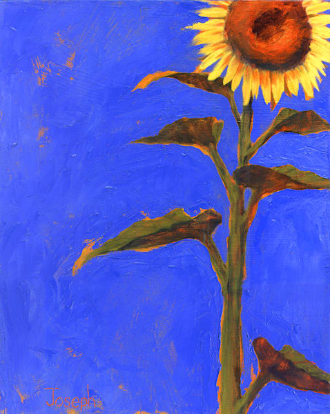 Blue Sunflower Art | Joseph Jackino