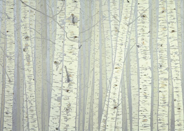 Birches Card Art | Joseph Jackino