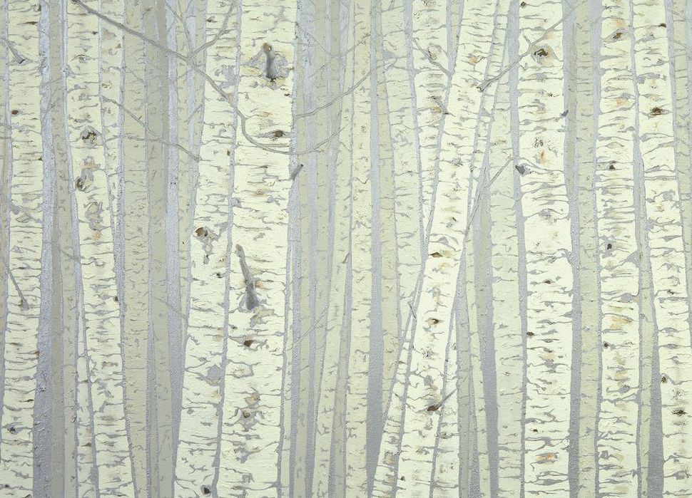 Birches Card Art | Joseph Jackino