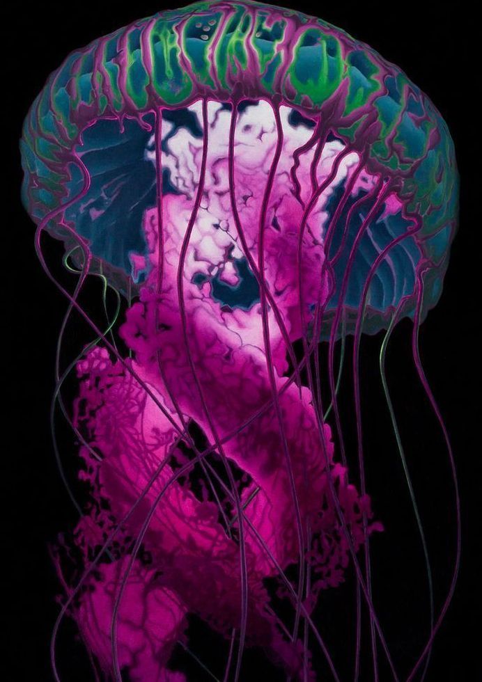 Jellyfish Card Art | Joseph Jackino