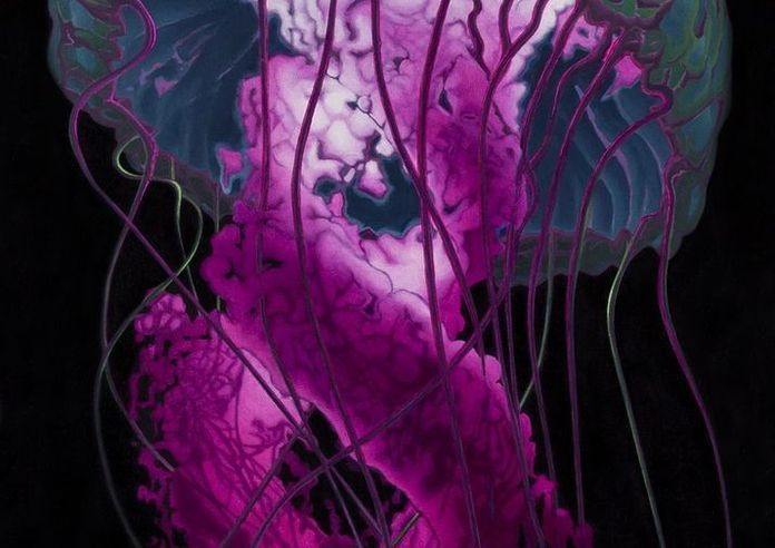 Jellyfish Card Art | Joseph Jackino