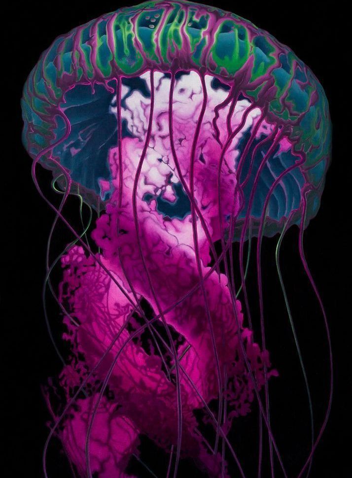 Jellyfish Card Art | Joseph Jackino