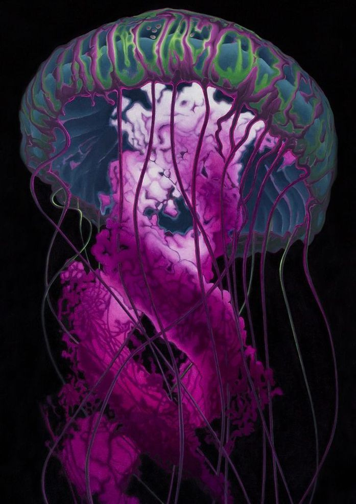Jellyfish Card Art | Joseph Jackino