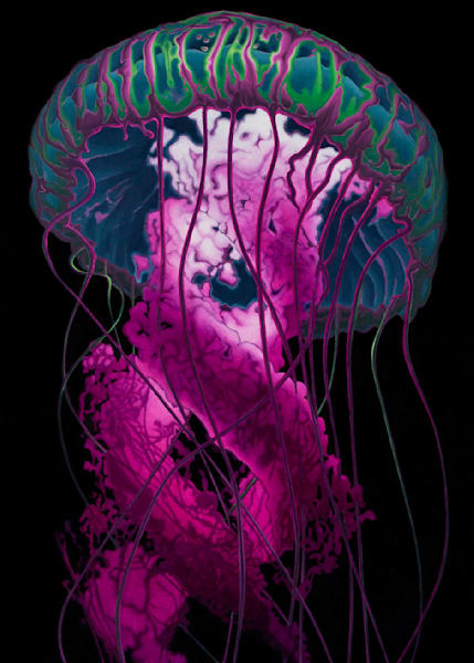 Jellyfish Card Art | Joseph Jackino