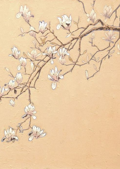 Magnolia Card Art | Joseph Jackino