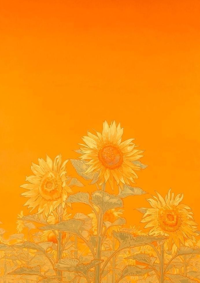 Sunflower Field Card Art | Joseph Jackino