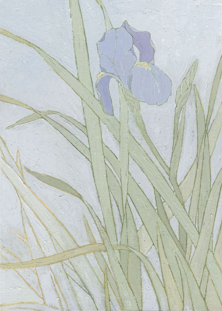 Purple Iris Card Art | Joseph Jackino
