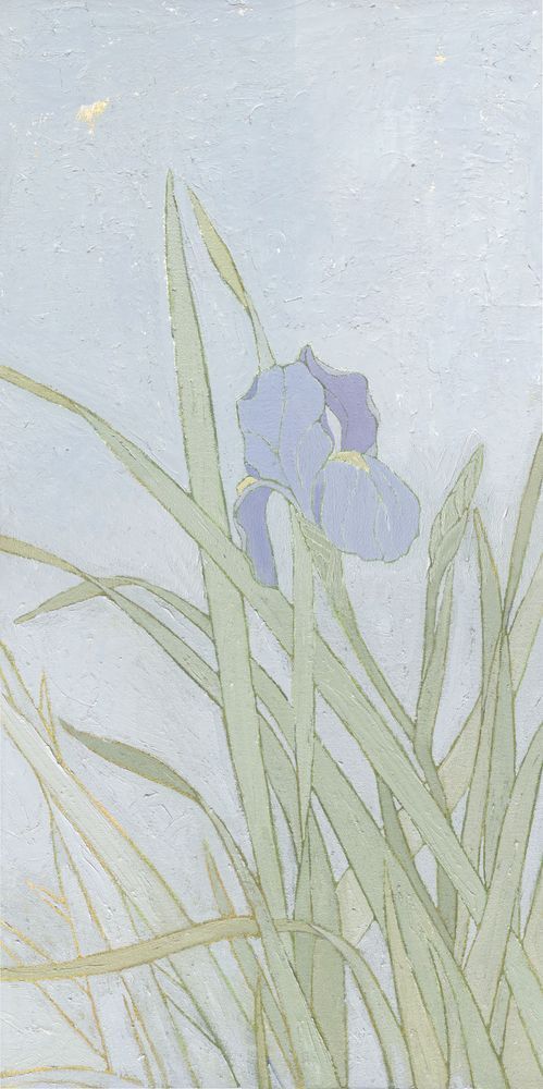 Purple Iris Art | Joseph Jackino