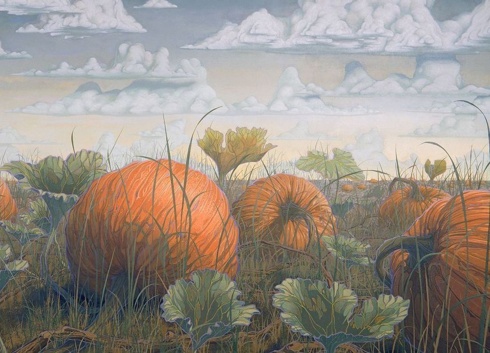 Pumpkin Patch Card Art | Joseph Jackino