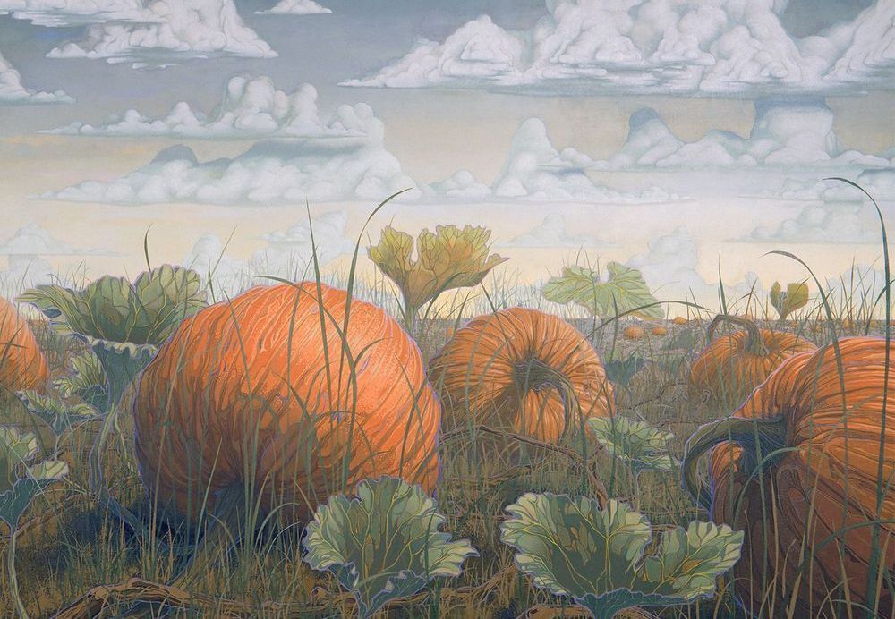 Pumpkin Patch Card Art | Joseph Jackino