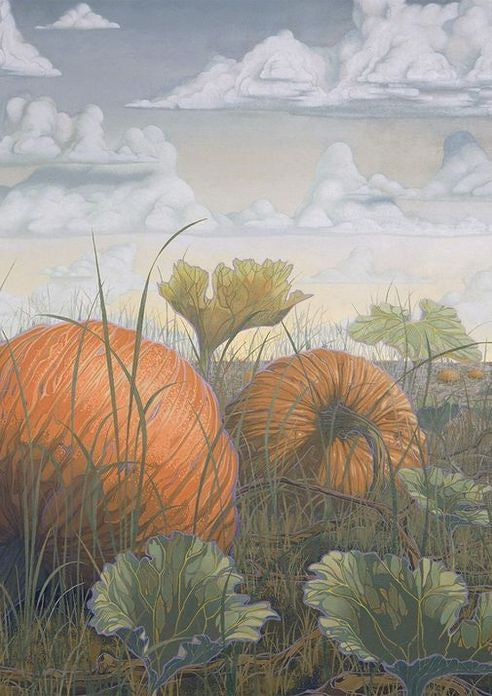 Pumpkin Patch Card Art | Joseph Jackino