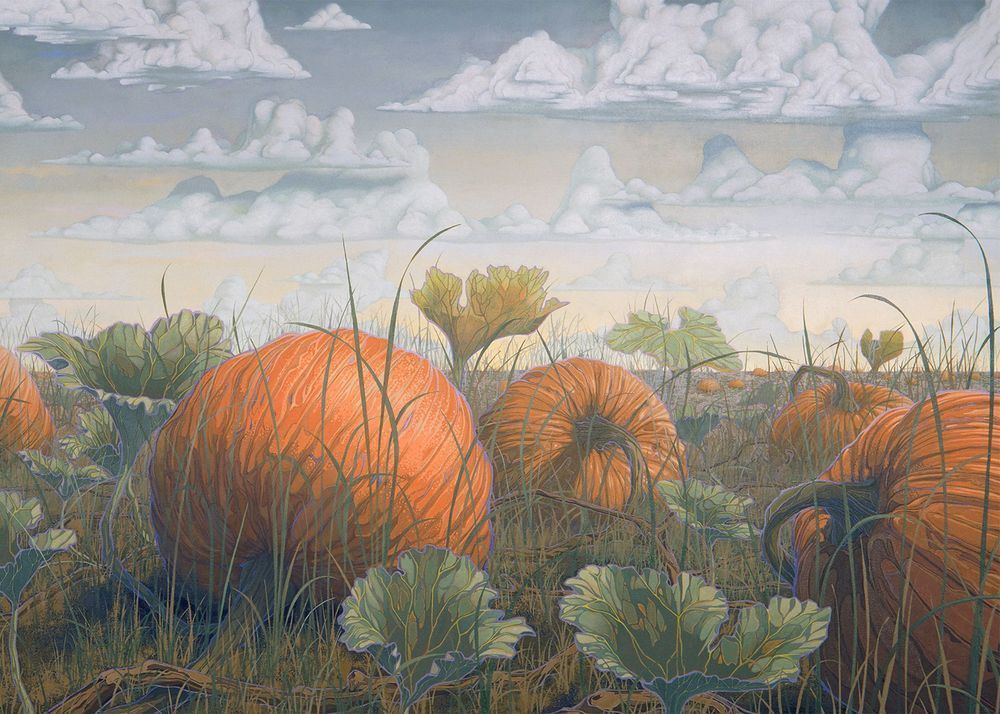 Pumpkin Patch Card Art | Joseph Jackino