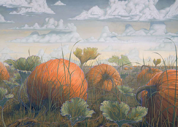 Pumpkin Patch Card Art | Joseph Jackino
