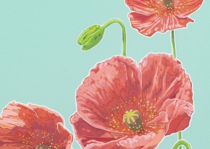 Poppies Teal Ii Card Art | Joseph Jackino
