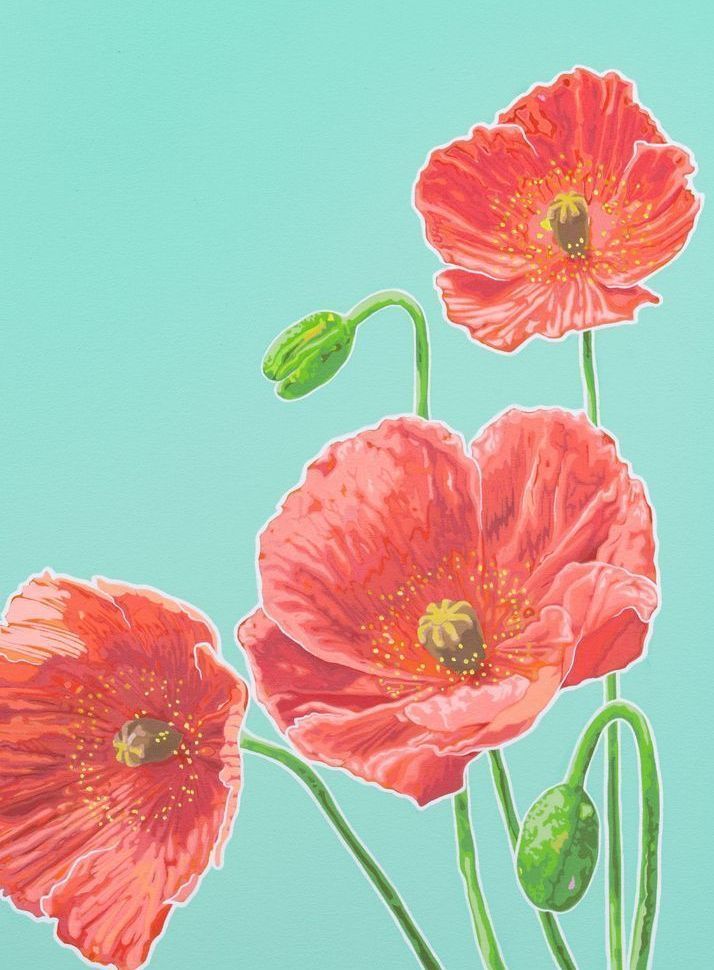 Poppies Teal Ii Card Art | Joseph Jackino