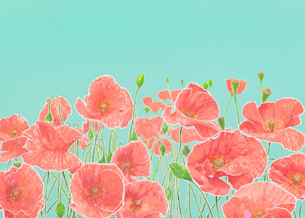 Poppies Teal Iii Card Art | Joseph Jackino