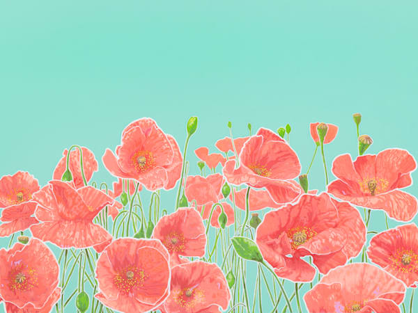 Poppies Teal Iii Art | Joseph Jackino