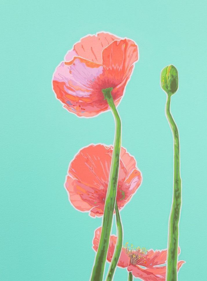 Poppies Teal I Card Art | Joseph Jackino