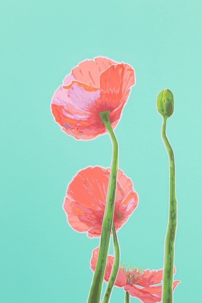 Poppies Teal I Art | Joseph Jackino