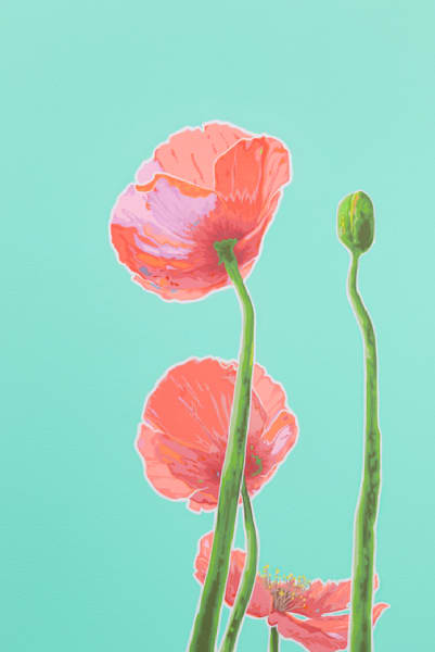 Poppies Teal I Art | Joseph Jackino