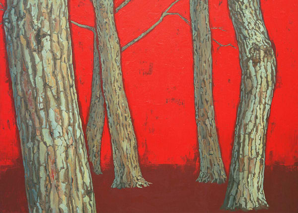 Tuscan Pines Card Art | Joseph Jackino
