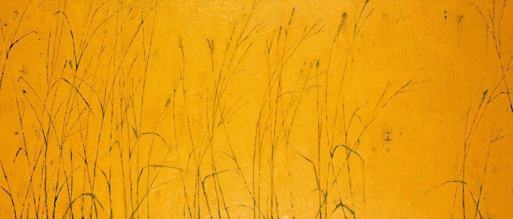 Tall Grass Art | Joseph Jackino