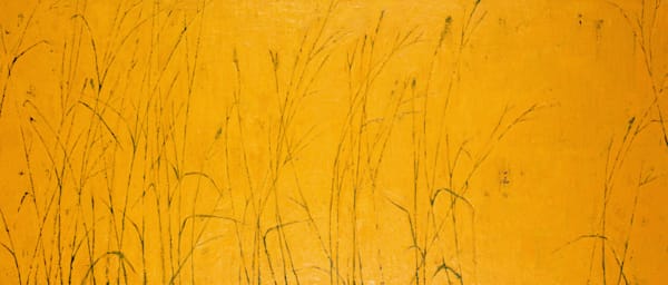 Tall Grass Art | Joseph Jackino
