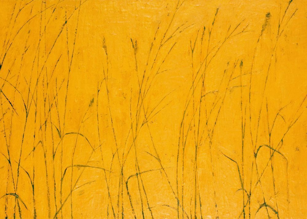 Tall Grass Card Art | Joseph Jackino