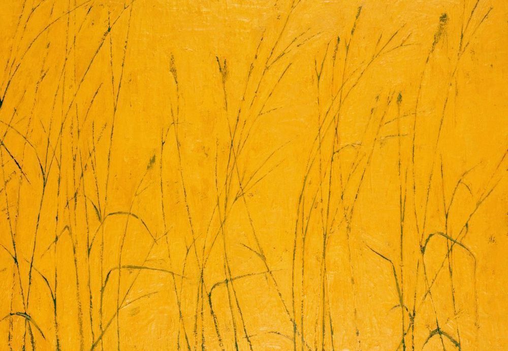 Tall Grass Card Art | Joseph Jackino