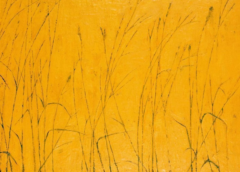 Tall Grass Card Art | Joseph Jackino