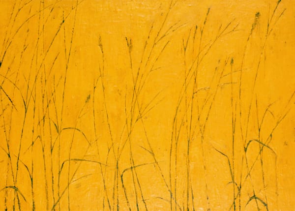 Tall Grass Card Art | Joseph Jackino