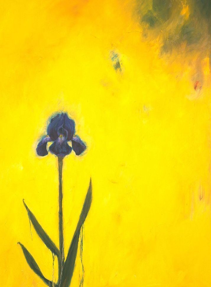 Yellow Iris Card Art | Joseph Jackino