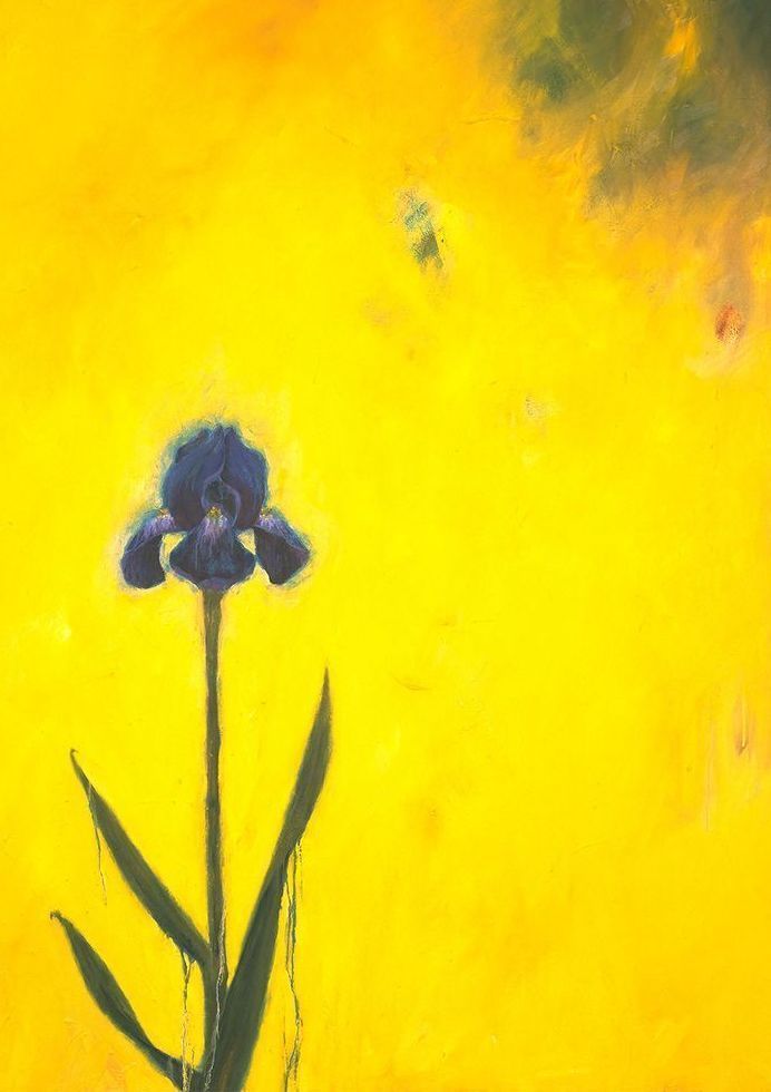 Yellow Iris Card Art | Joseph Jackino