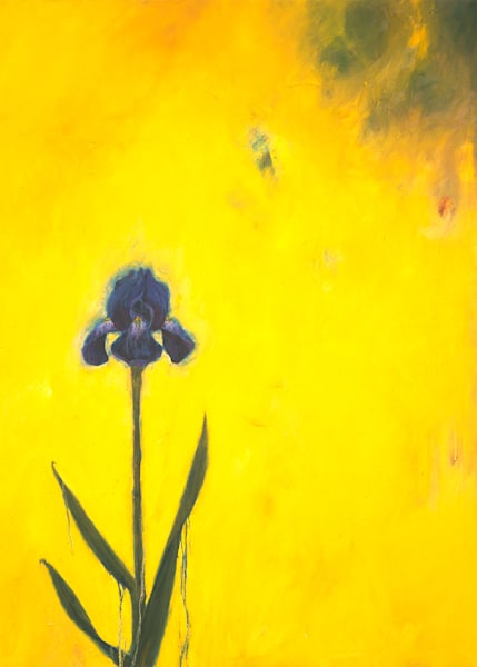 Yellow Iris Card Art | Joseph Jackino