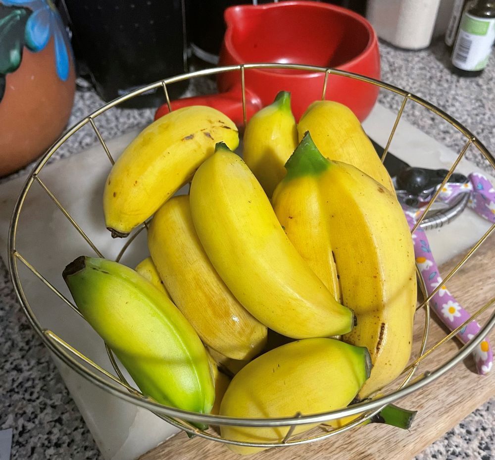 Banana Twin In Bowl Photography Art | Leilani Cyphers Photography