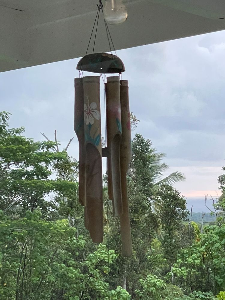 Windchime Woods Photography Art | Leilani Cyphers Photography