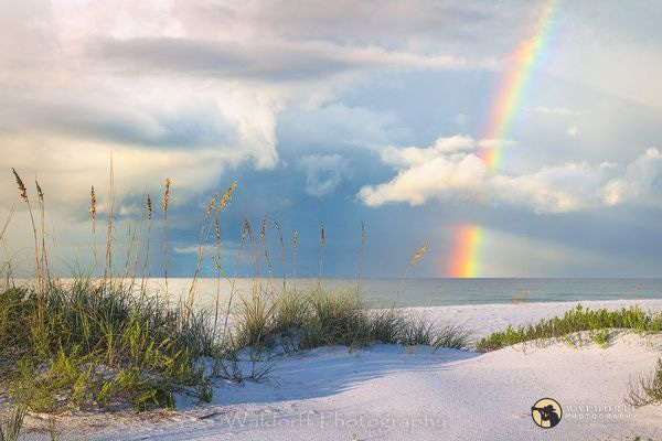 26AZ | Gulf Islands National Seashore, Florida | Fine Art Landscape Photography on Canvas, Paper, Metal, Acrylic | Photography by Jeff Waldorff