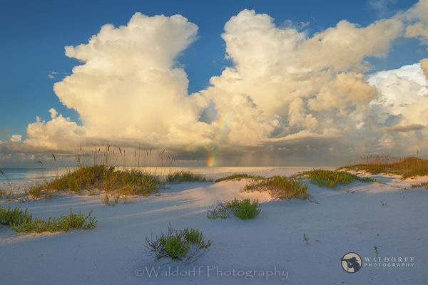 26AY | Gulf Islands National Seashore, Florida | Fine Art Landscape Photography on Canvas, Paper, Metal, Acrylic | Photography by Jeff Waldorff
