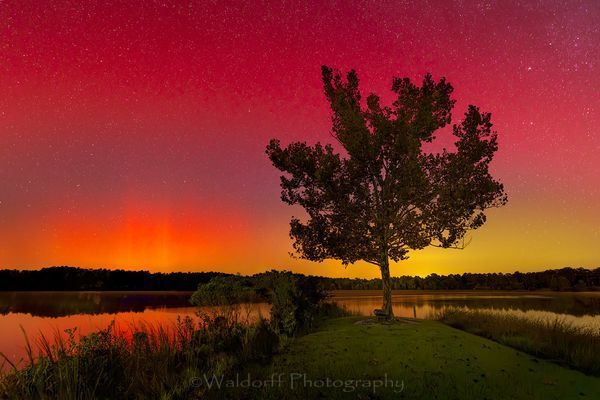Aurora Borealis #1 | Black Water State Forest, Northwest Florida | Fine Art Landscape Photography on Canvas, Paper, Metal, and Acrylic | Photography by Jeff Waldorff