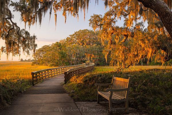 Jekyll Island Trail #2 | Georgia | Fine Art Landscape Photography on Canvas, Paper, Metal, Acrylic | Photography by Jeff Waldorff