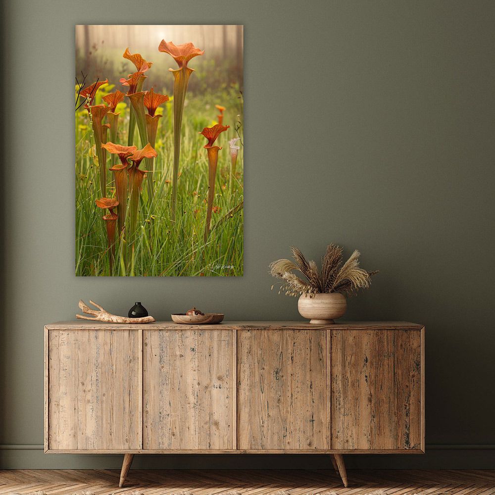 Mdawmdawmdawmdaw7qgraepd6cacehr zcfbfywxu2fyveayeunrgwctqqqltnerwweter6yomfiojy24adow ljj7f22f2vd2s3k0fn 38ezqodftc2xeuhdjufahdziomokxodj3hs jg da6ji5eudq olwagpj5emn4wify4ud yu1 aalkmvzenrxu9j kusiesauwyvqtyk906z ynq18l87mnvpf4oygzie wc pphait wd5pfkx481uwybsiadhj9j8wkjinmonwo8ghhpnpgs4k5iqqy3bsyl 4wphzanqgsu