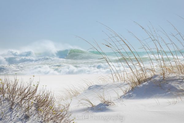 After the Storm | Gulf Islands National Seashore, Florida  | Fine Art Landscape Photography on Canvas, Paper, Metal, Acrylic | Photography by Jeff Waldorff