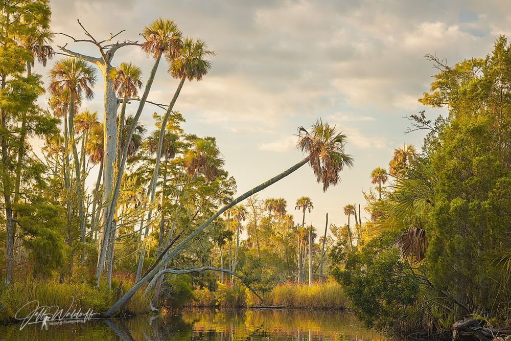 Mdawmdawmdawmdaw7qgraepd6cacehr zcfbfywxu2fyveayeunrgwctqqqltnerwweter6yomfiojy24adow ljj7f22f2vd2s3k0fn 38ezqodftc2xeuhdjufahdziomokxodj3hs jg da6ji5eudq olwagpj5emn4wiv 4i4gkuarbpikns5ankcdqzrdi z1qxbl w 4dx4t nklofwx 8kaubfngjcfaho65bko xxot qf pe9i8ipktihwiadye4shhxq32ywrv8rbrtffridv3o3laat4m6t  b94qb9apnkykvb2b3mweochmzrmp2 gkw