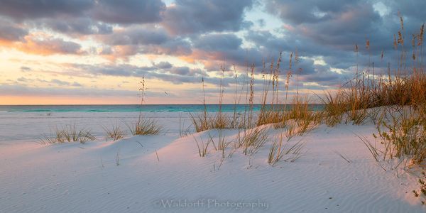 Waterline Whimsey (25 Bx) Photography Art | Waldorff Photography