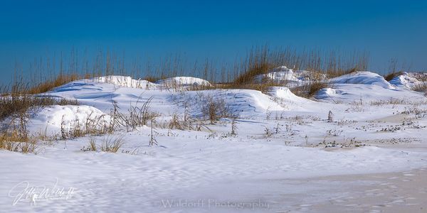 Snowy Dunes | Gulf Islands National Seashore, Florida | Fine Art Prints & Acrylic | Waldorff Photography