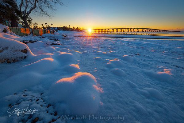 Florida Tundra | Navarre, Florida | Fine Art Prints & Acrylic | Waldorff Photography