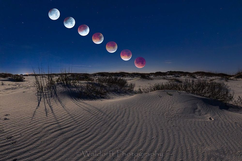 26 Ag Photography Art | Waldorff Photography